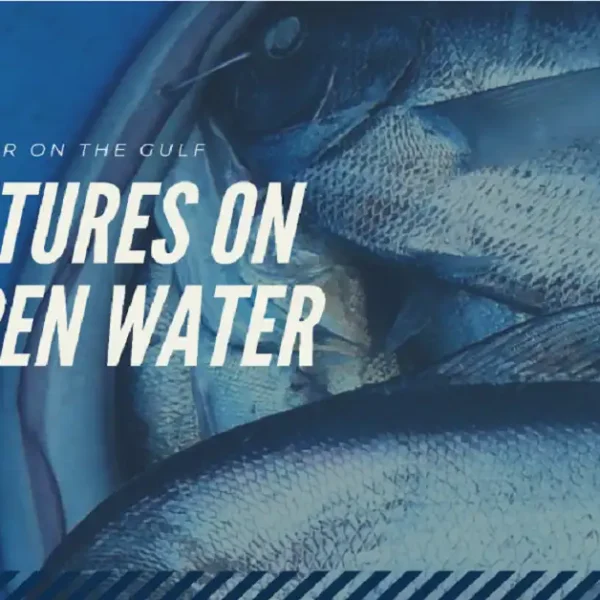 fishing thunderonthegulf